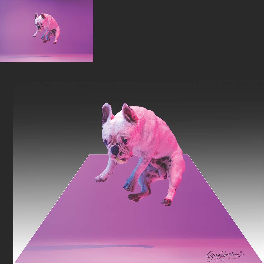 Bulldog Jump Out