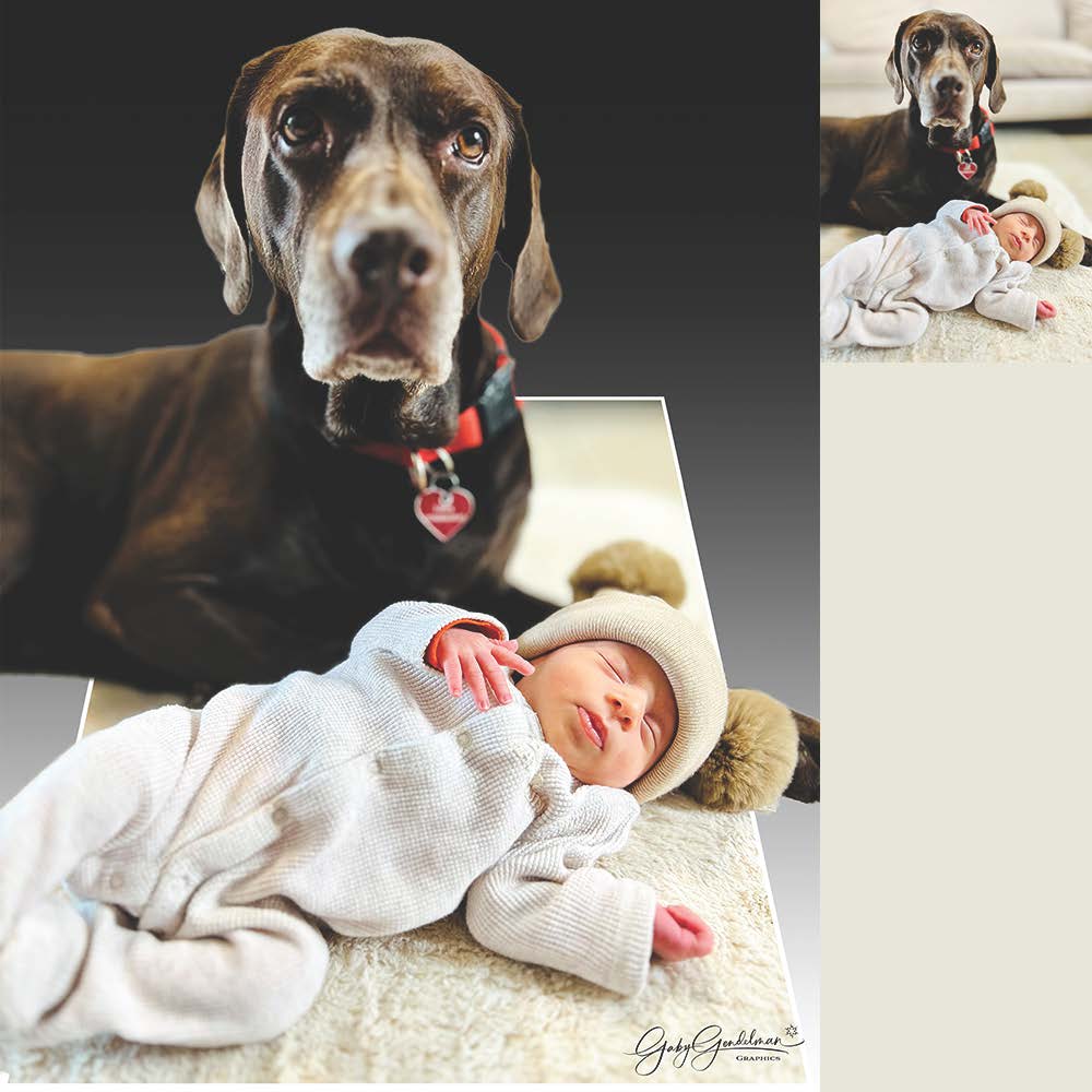 Cutie with Labrador